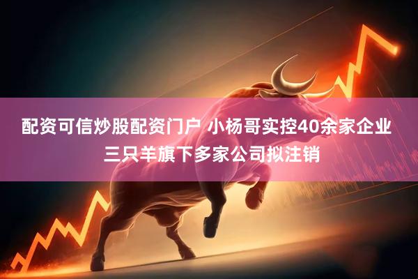 配资可信炒股配资门户 小杨哥实控40余家企业  三只羊旗下多家公司拟注销