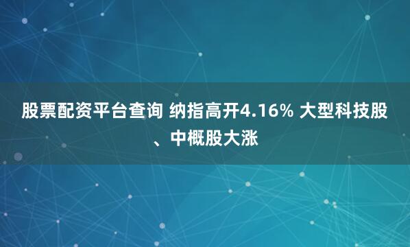 股票配资平台查询 纳指高开4.16% 大型科技股、中概股大涨
