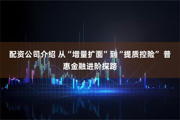 配资公司介绍 从“增量扩面”到“提质控险” 普惠金融进阶探路