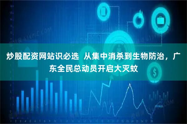 炒股配资网站识必选  从集中消杀到生物防治，广东全民总动员开启大灭蚊